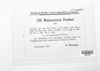 Melanconium pandani image